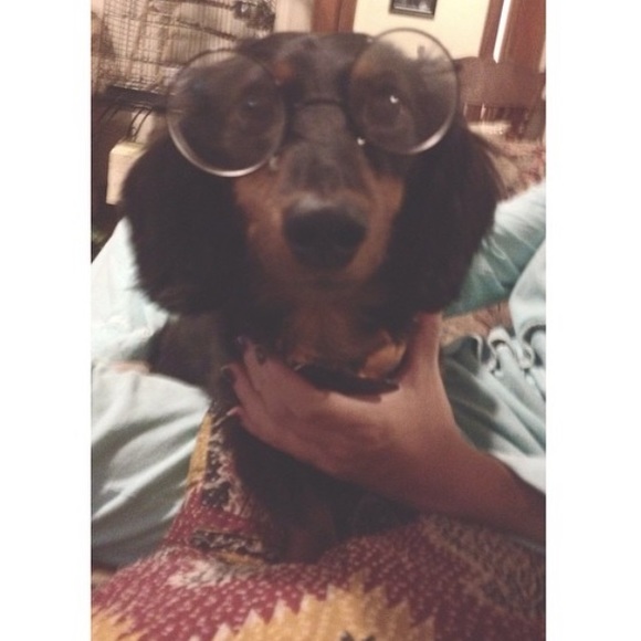 Meet your Posher, Kendra - Picture 2 of 2